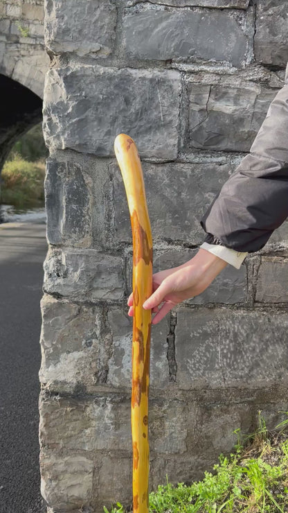 Light Hazel Walking Stick with Copper End – 37” (94 cm)