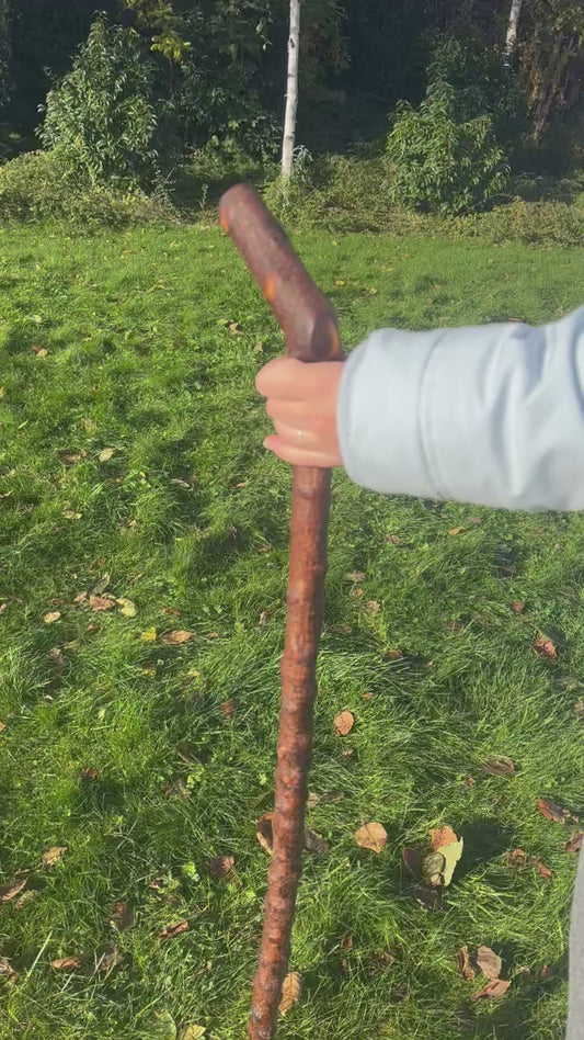 Blackthorn Walking Stick with L Handle - 105 cm / 41.3 inches