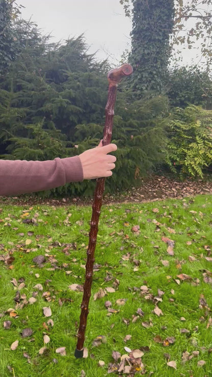 Irish Blackthorn Walking Stick with L Handle – 38”