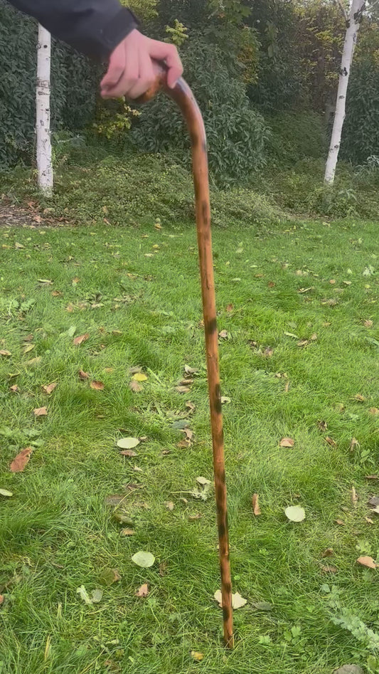 Hazel Walking Stick with Round L Handle and Black Pattern - 102 cm / 40 inches