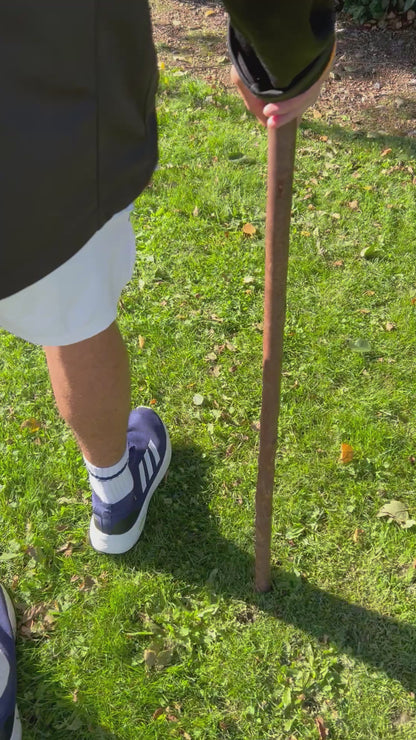 Thick Shaft Blackthorn Shillelagh Small Knob Stick