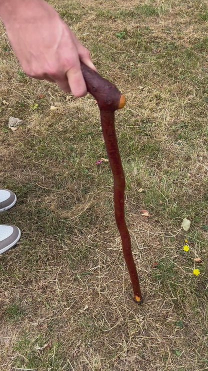 Blackthorn Shillelagh Sloped L Handle “Door Knocker” – 75 cm (29.5”)