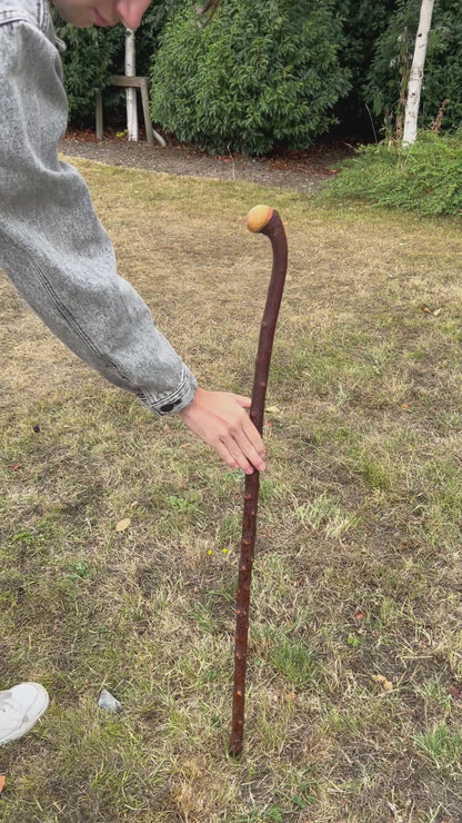 Round Knob Blackthorn Shillelagh – 98.5 cm (38.8”)