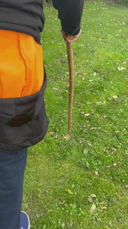 Lightweight Irish Walking Stick with Small Handle – 96 cm (37.8”)