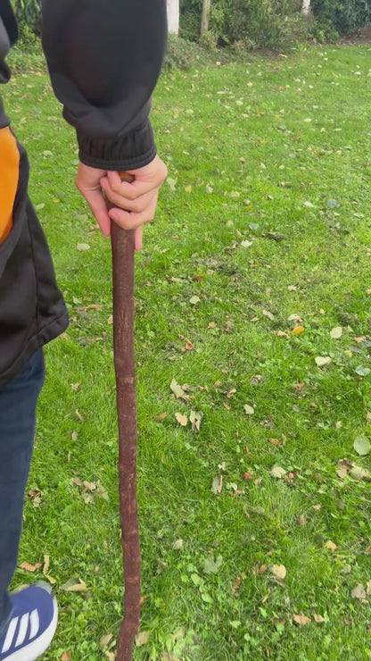 Irish Walking Stick with Small Knob Handle – 95 cm (37.4”)