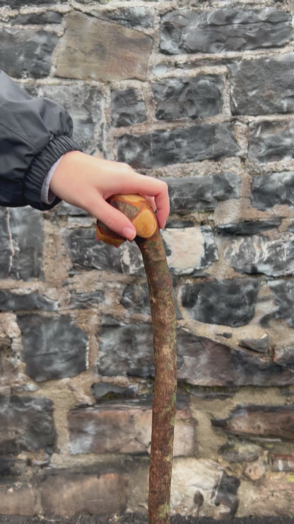 Raspy-Textured Hazel Walking Stick with Knob Head – 99 cm (39”)