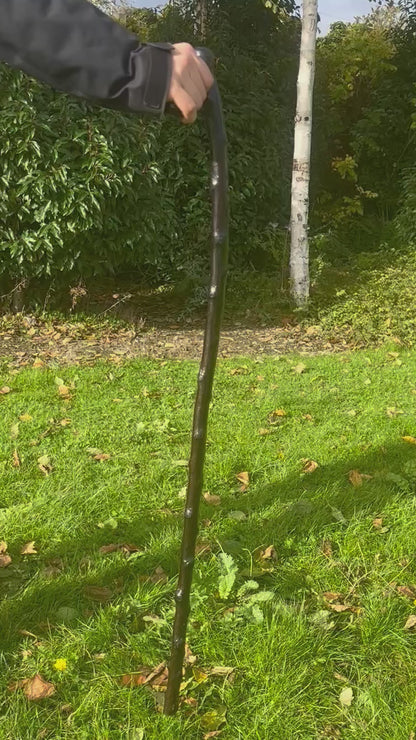 Blackthorn Walking Stick with L Handle – Black Painted -  95 cm / 37 inches