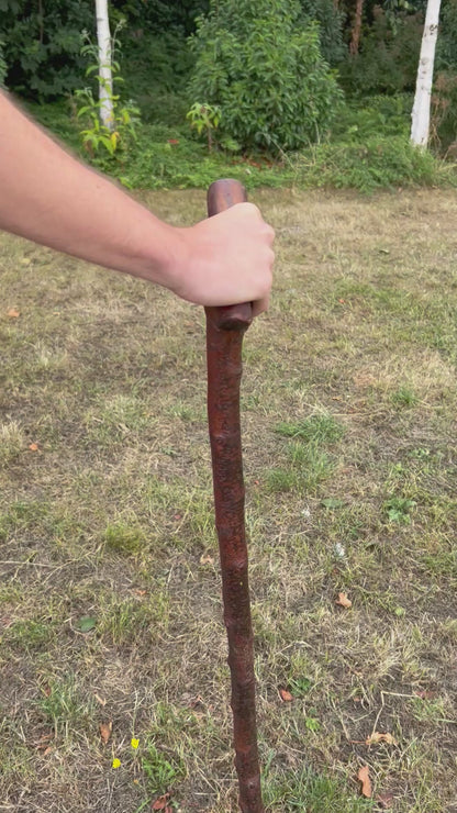 Chunky Blackthorn Shillelagh Sloped L Handle – 98.1 cm (38.6”)