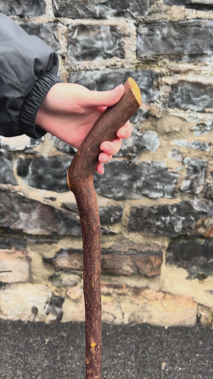 Sloped Blackthorn Hiking Stick – 103 cm (40.5”)