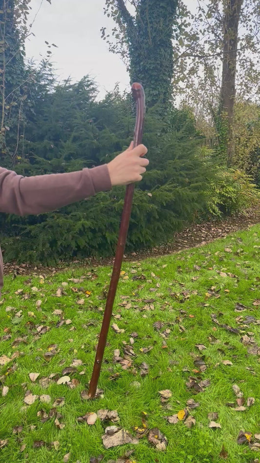 Irish Blackthorn Walking Stick – 40”