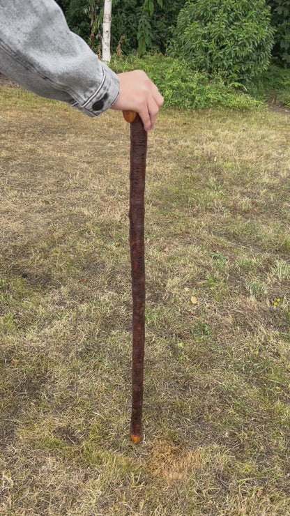 Large Chunky Knob Blackthorn Shillelagh – 93.5 cm (36.8”)