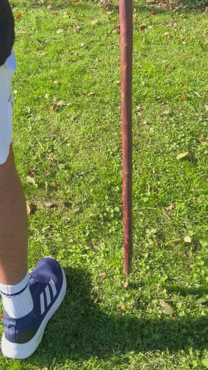 Knarly Root Ball Blackthorn Shillelagh – 92 cm (36.2”)