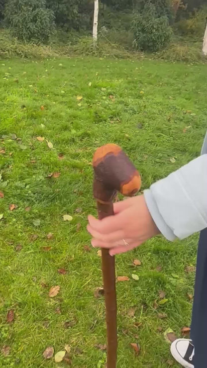 Blackthorn Walking Stick with Knob Handle – 103 cm / 40.6 inches