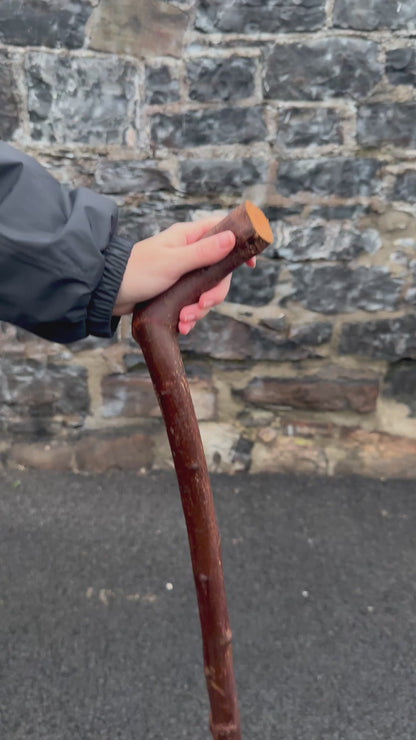 Blackthorn Walking Stick with 45° L-Shaped Handle – 102 cm (40.1”)