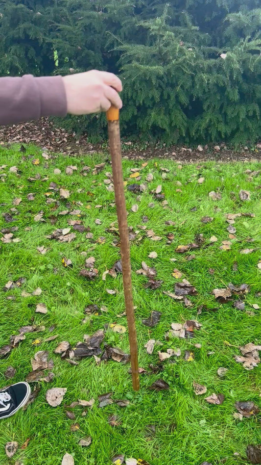 Irish Hazel Stick with Spalted Yew Head – 40”