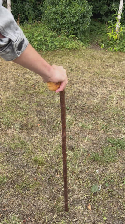 Leaning Knob Blackthorn Shillelagh – 98.9 cm (38.9”)