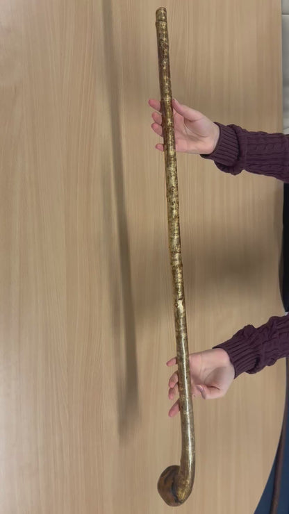 One-Piece Hazel Walking Stick with Large Round Handle – 98cm