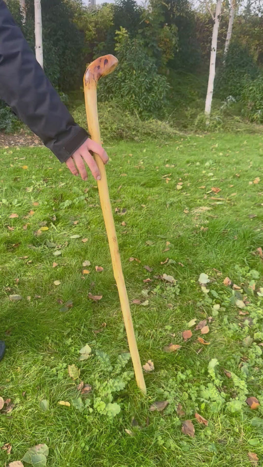 Hazel Walking Stick with L Handle - 105 cm / 41 inches