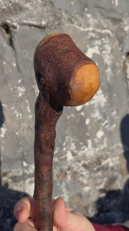 stick A16 - 96 cm / 38 inches