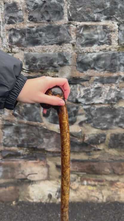 Sold - Unique Hazel Walking Stick with Finished Head – 98 cm (38.5”)