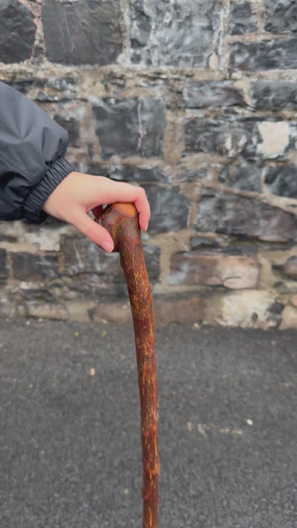 Rustic Blackthorn Hiking Stick with Leaning Head – 105 cm (41.3”)