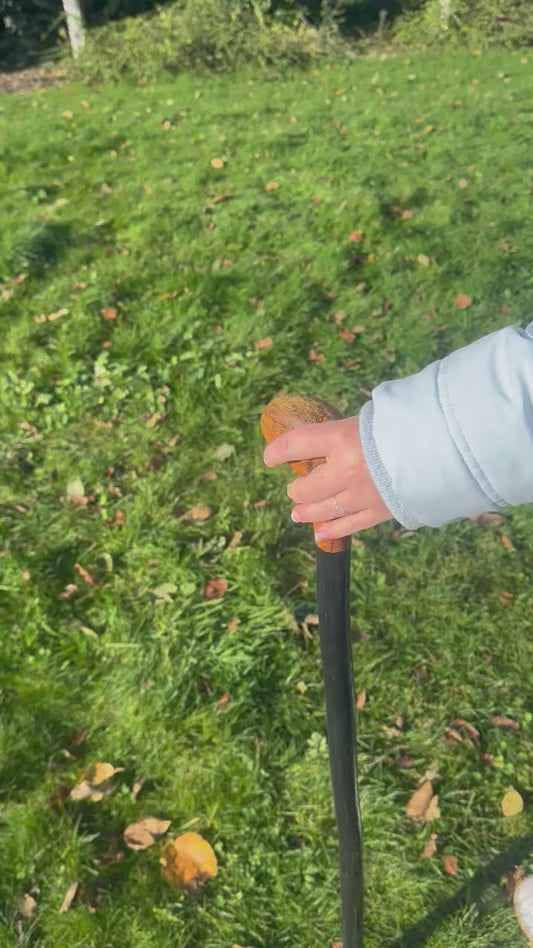 Blackthorn Walking Stick with Round Handle - 91 cm / 35.8 inches