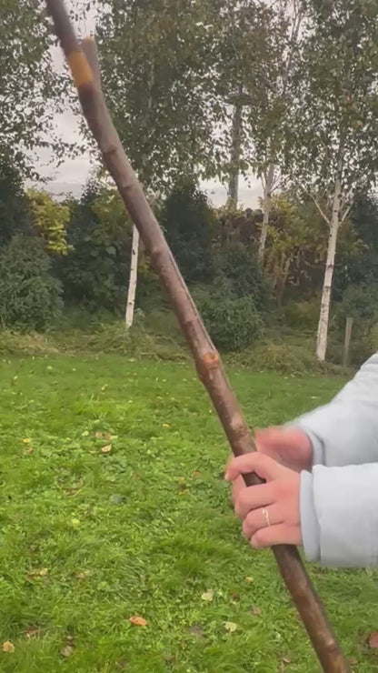 Blackthorn Thumb Hiking Stick – 141 cm / 55.5 inches