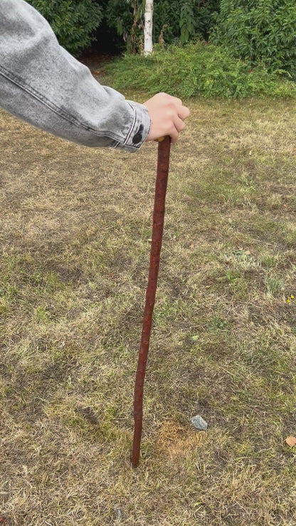 Large Knob Blackthorn Shillelagh – 100 cm (39.4”)