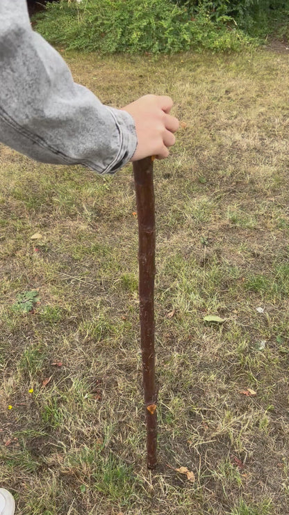 Chunky Knob Blackthorn Shillelagh – 94.3 cm (37.1”)