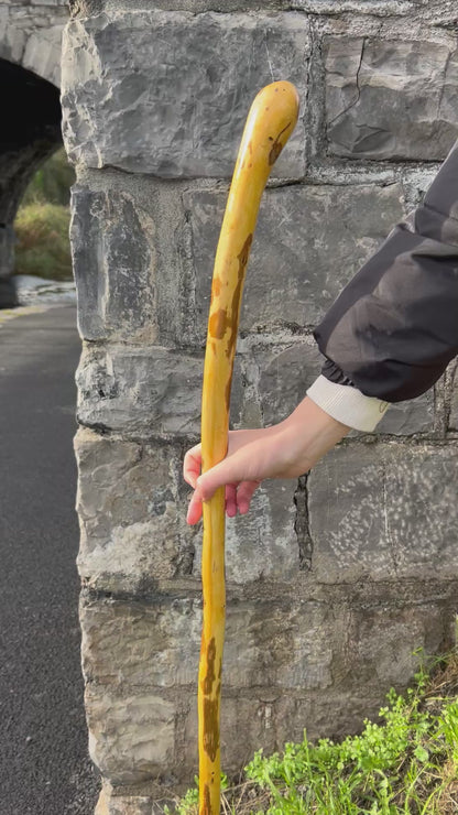 Light Hazel Walking Stick with Copper End – 37” (94 cm)