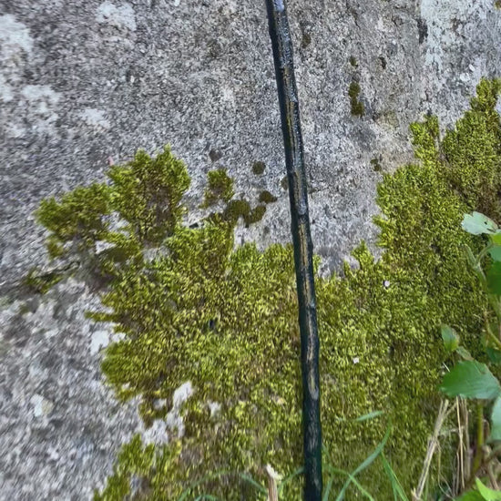 Blackthorn walking stick with knob and curve held in a hand in front of a grey stone wall with green plants