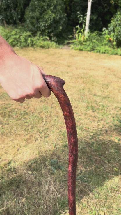 Light Blackthorn Shillelagh L Handle – 91 cm (35.8”)