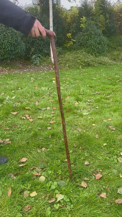 Blackthorn Walking Stick with L Handle - 100 cm / 39 inches