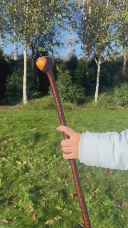 Blackthorn Walking Stick with Round Handle - 96 cm / 37.8 inches