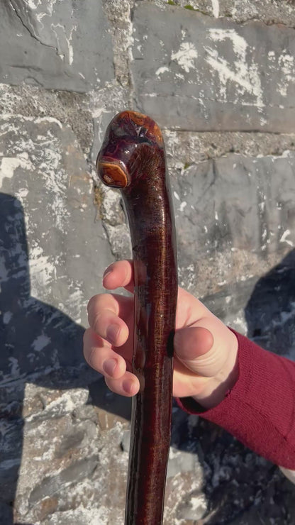 Blackthorn Shillelagh with Small Handle - 99 cm / 39 inches