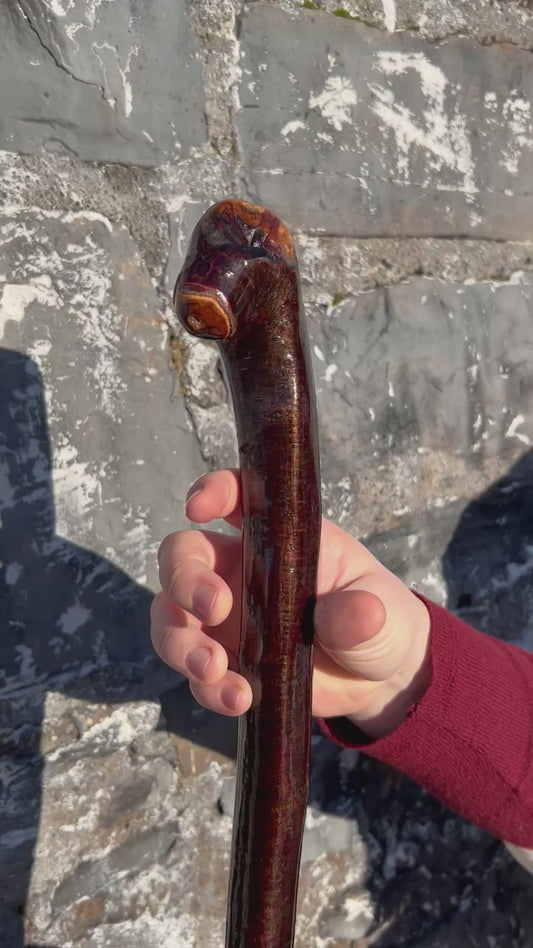 Blackthorn Shillelagh with Small Handle - 99 cm / 39 inches