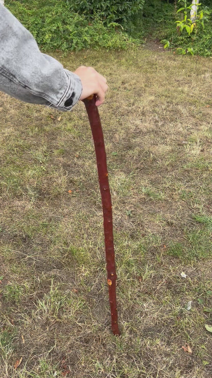 Large Knob Blackthorn Shillelagh with Thick Shaft – 96.5 cm (38”)
