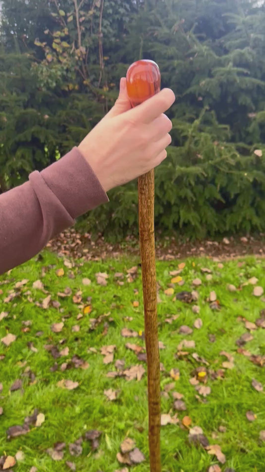Hazel Walking Stick with Spalted Yew Head – 39”