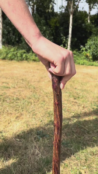 Short Chunky Blackthorn Shillelagh Knob Stick – 73 cm (28.7”)