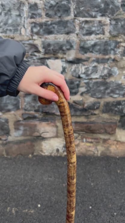 Hazel Walking Stick with Leaning Knob Head – 100 cm (39.4”)