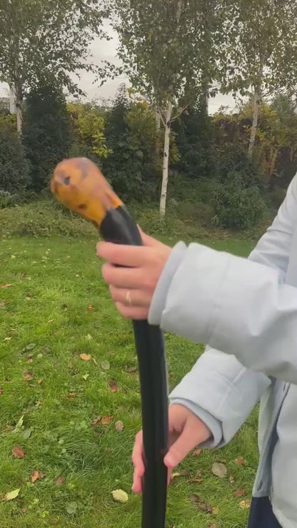 Black-Painted Whitethorn Walking Stick with Round Head – 99 cm / 39 inches