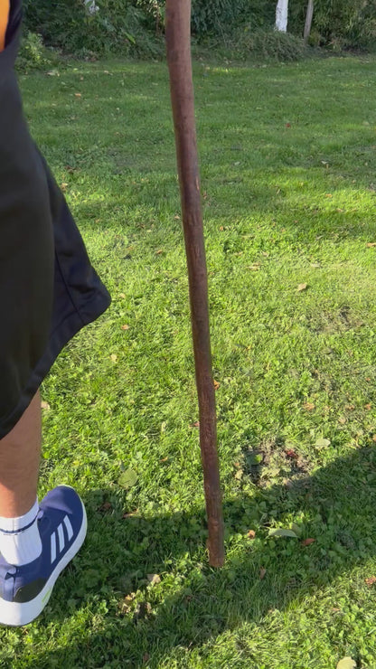 Traditional Root Ball Blackthorn Shillelagh Knob Stick – 103 cm (40.6”)
