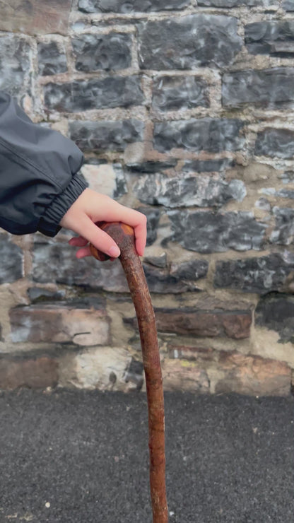 Blackthorn Walking Stick with Small Knob Head – 94 cm (37”)