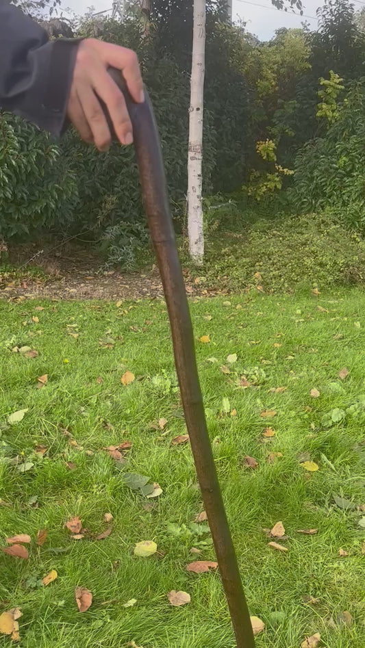 Blackthorn Walking Stick with Round Handle – Black Painted - 105 cm / 41 inches