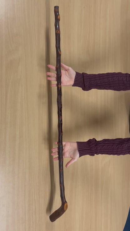 Bumpy Blackthorn Walking Stick with Sloped L Handle – 102cm