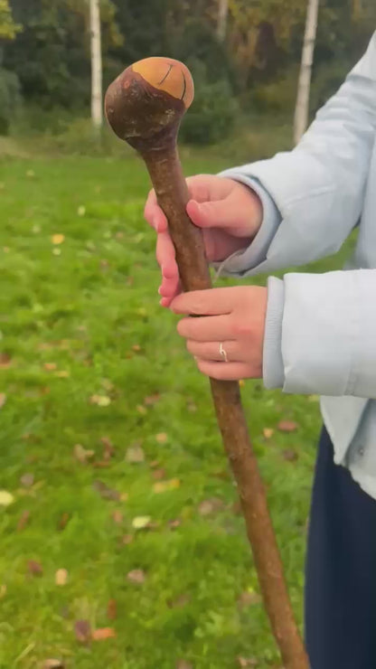 Blackstone Walking Stick with Round Handle – 97 cm / 38.2 inches