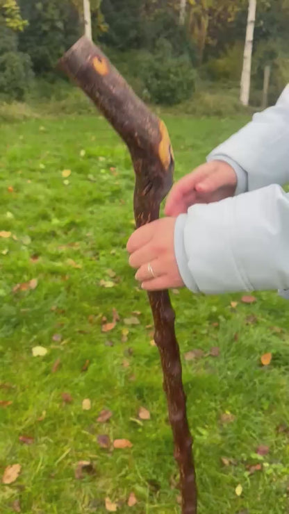 Blackthorn Walking Stick with Sloped L Handle – 106 cm / 41.7 inches
