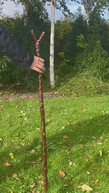 Sold Hazel Walking Stick with Thumb Handle - 106 cm / 41.7 inches