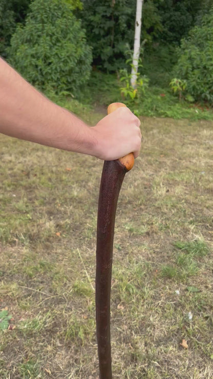 Long Chunky Blackthorn Shillelagh L Handle – 105 cm (41.3”)