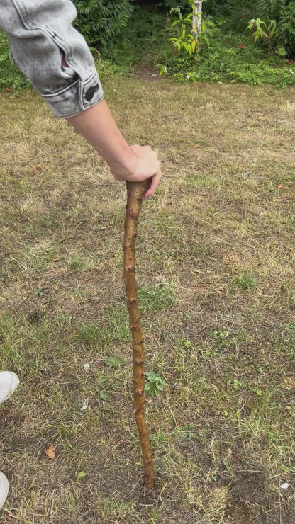 Whitethorn Shillelagh Knob Stick – 87.1 cm (34.3”)